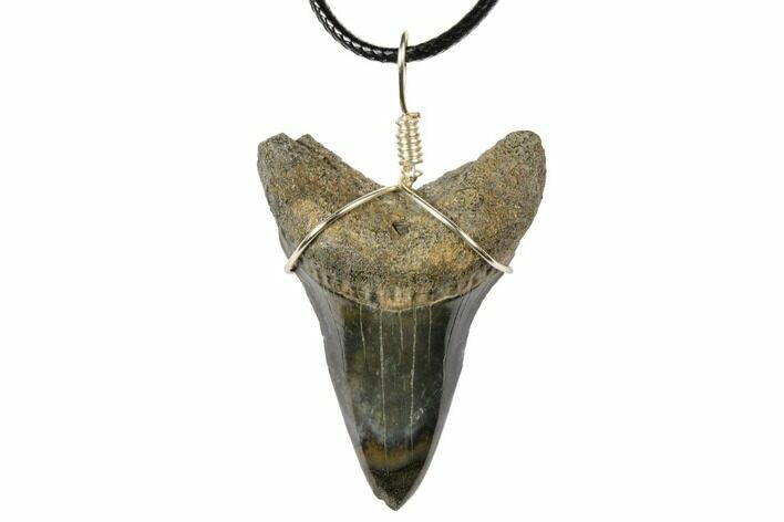 Fossil Mako Shark Tooth Necklace #130962